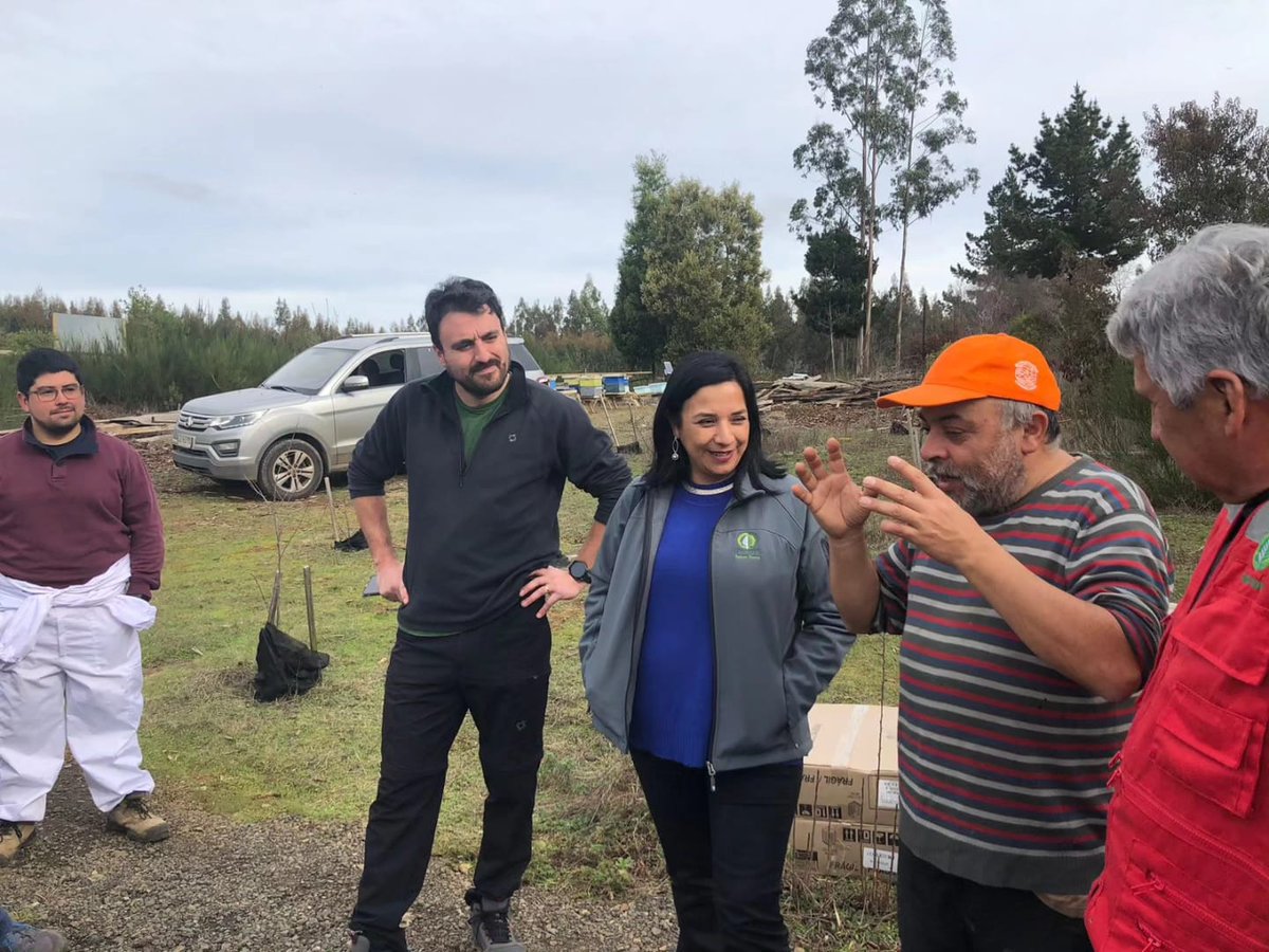 Instituto Forestal tweet media