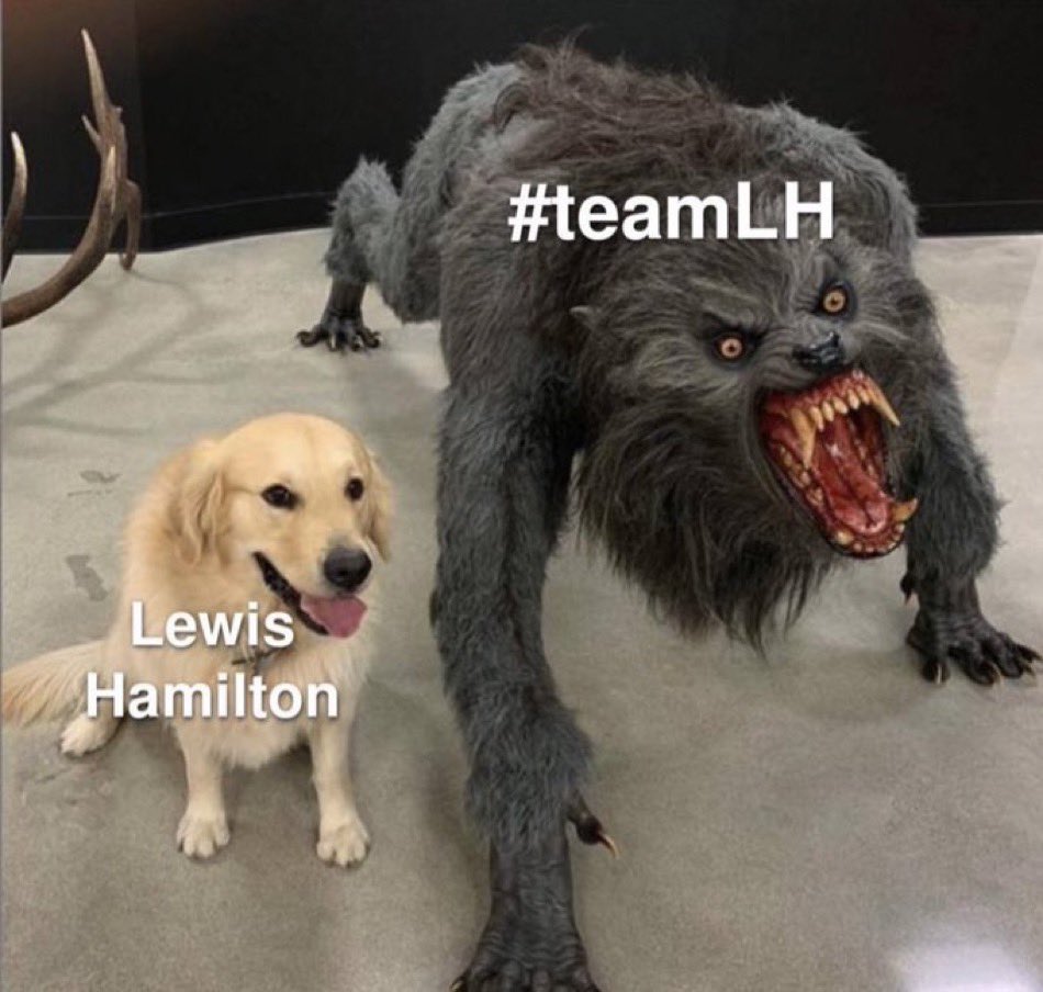 goatforty4's tweet photo. lewis hamilton vs teamLH after the sprint https://t.co/QM1Jrxve0b