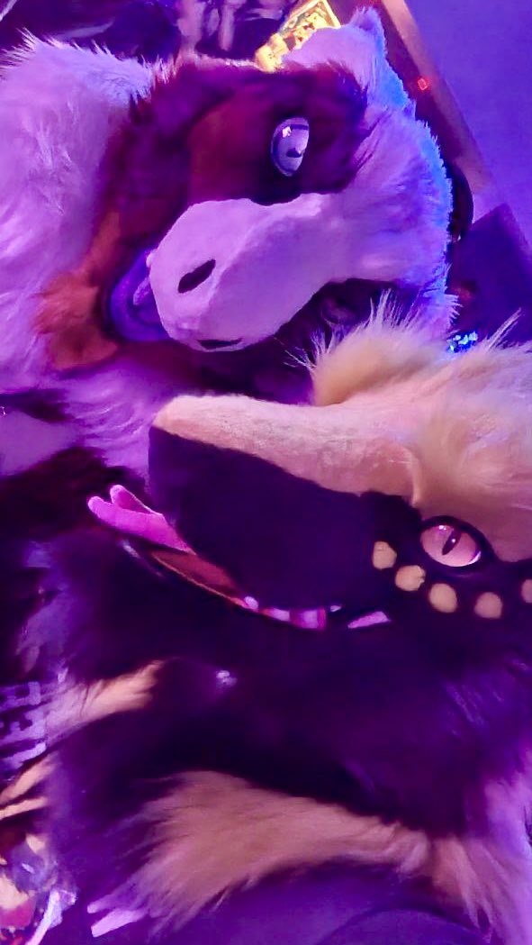 Azorukonn's tweet photo. Sergs at da party https://t.co/YTNK7PEBSl