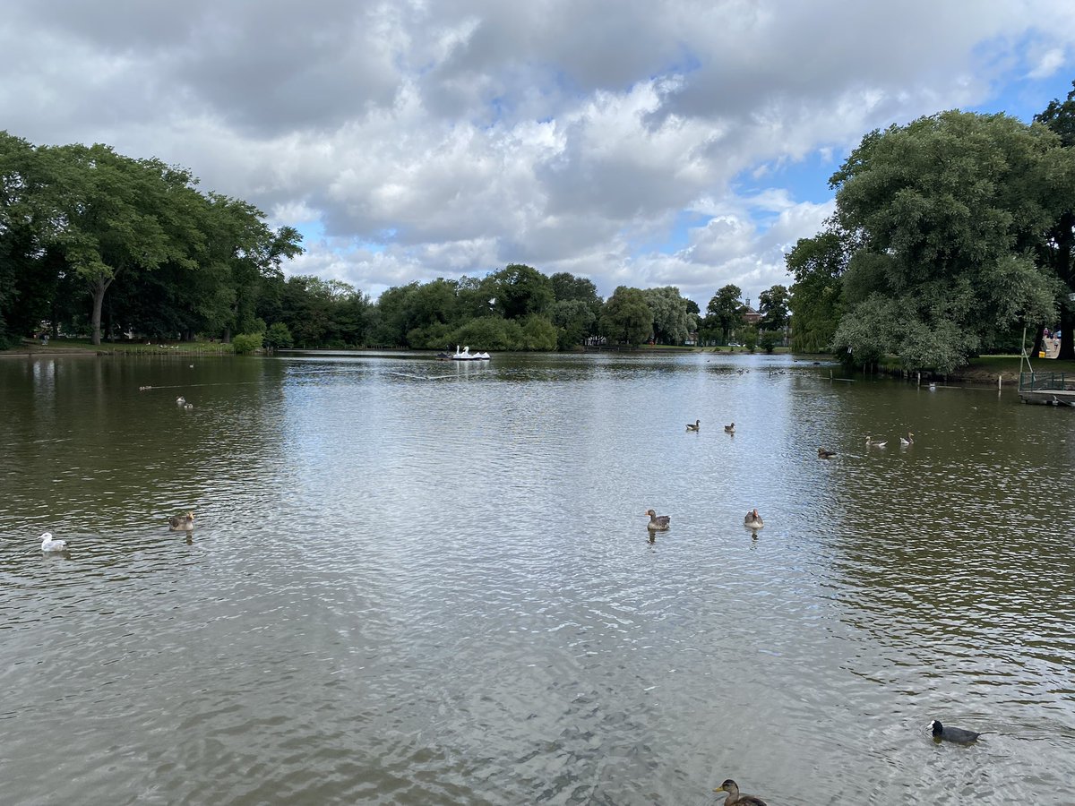 Steve Counter tweet media