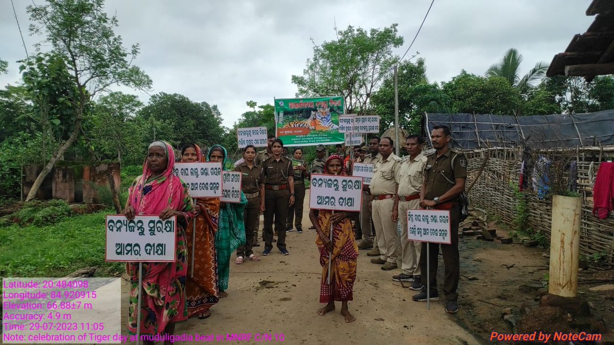 Mahanadi WL Division tweet media