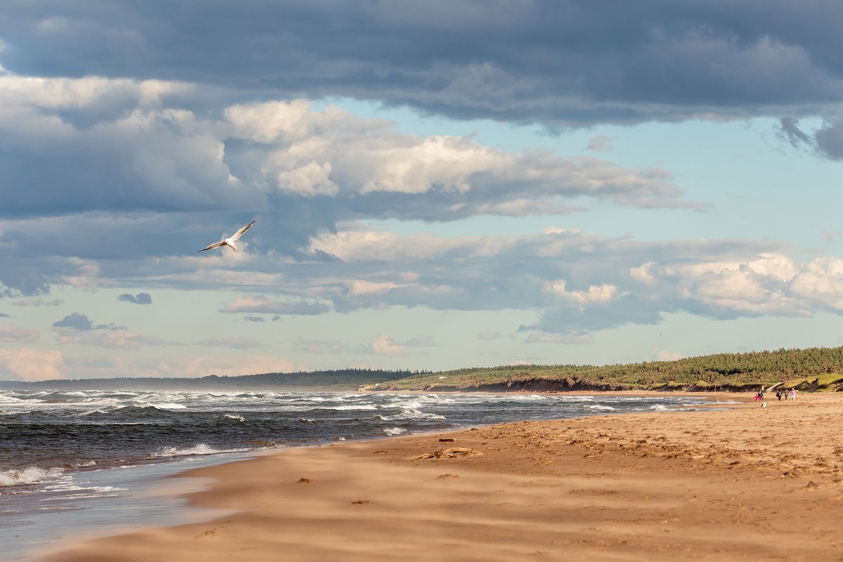 Surf conditions in #PEINationalPark today are considered Moderate. Exercise caution and swim only within your limits as rip currents are present. parkscanada.gc.ca/pei-beaches