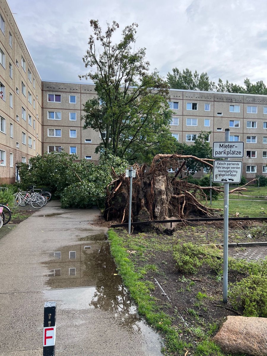 FwPotsdam's tweet photo. Wir sind mit mehreren #Einsatzkräften aktuell im Schlaatz bei einer Vielzahl an umgestürzten Bäumen.
#FürPotsdamImEinsatz https://t.co/5yLgZ8QPUL
