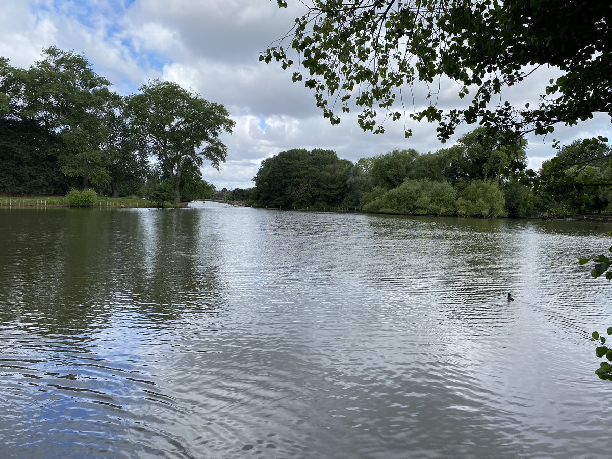 Steve Counter tweet media