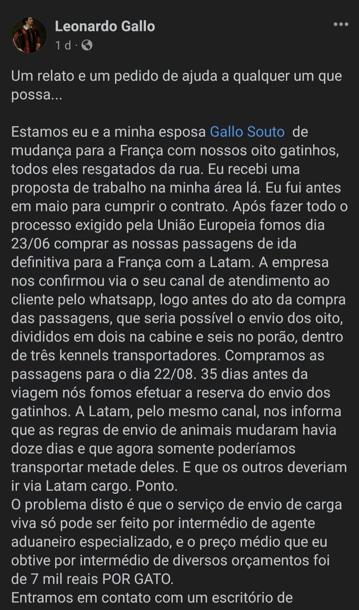 belzeluna's tweet photo. [ATENÇÃO PETLINE]
[GATINHOS PEDINDO AJUDA]

Gente, um casal de amigos da minha humana está precisando de ajuda pra levar todos os filhos felinos em sua mudança. Bora fazer barulho?!

Aqui o link da postagem: https://t.co/GmcziHdPUd https://t.co/vPpOoYAUQp