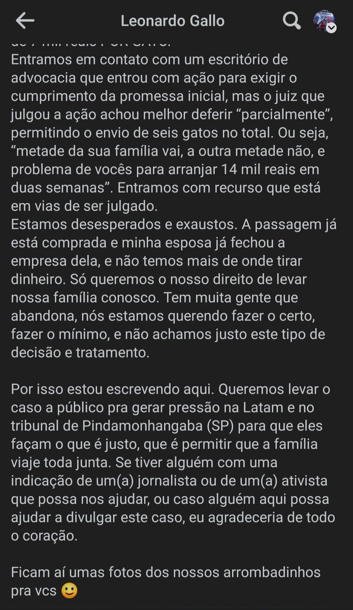 belzeluna's tweet photo. [ATENÇÃO PETLINE]
[GATINHOS PEDINDO AJUDA]

Gente, um casal de amigos da minha humana está precisando de ajuda pra levar todos os filhos felinos em sua mudança. Bora fazer barulho?!

Aqui o link da postagem: https://t.co/GmcziHdPUd https://t.co/vPpOoYAUQp