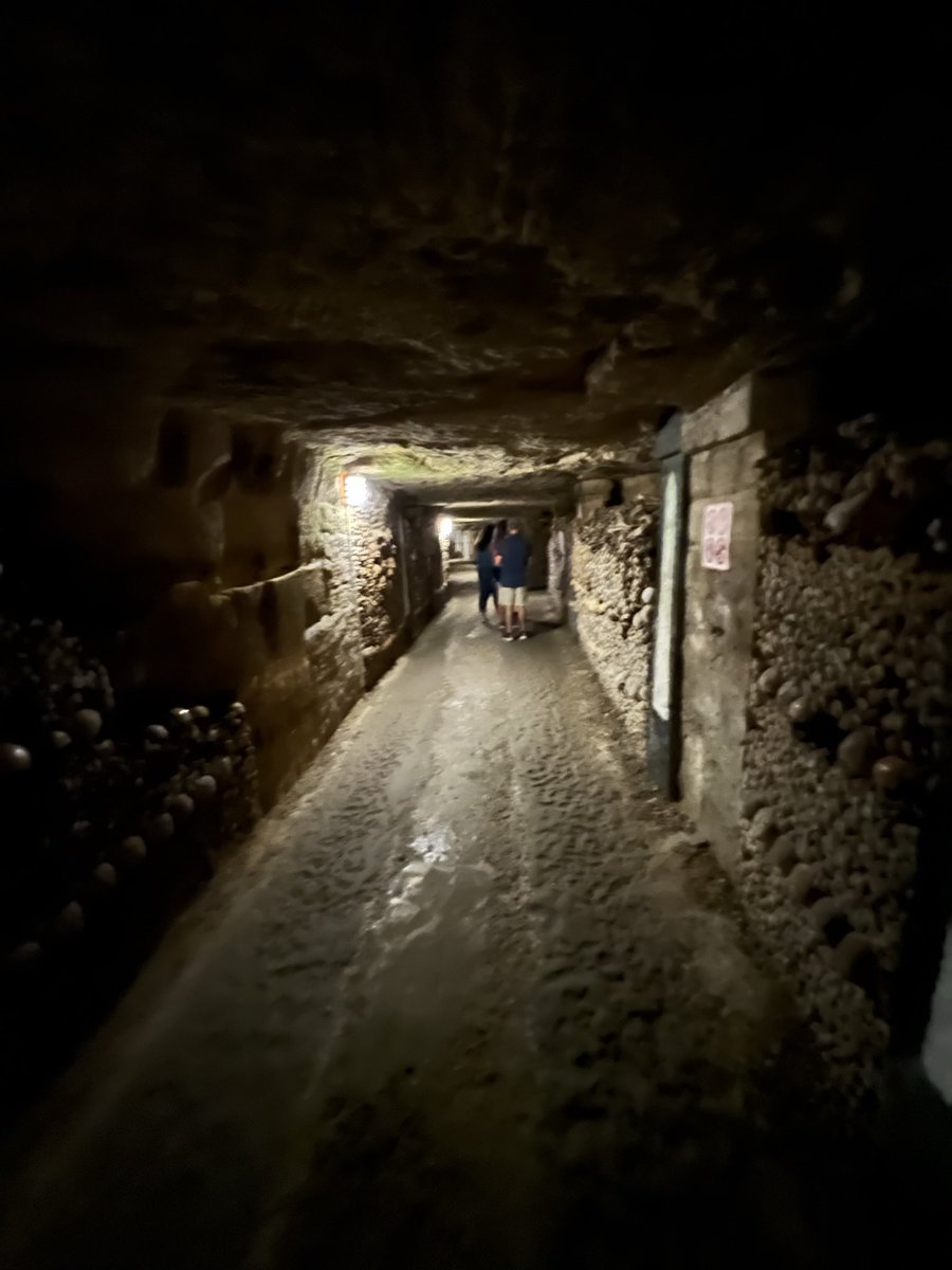 FibSeq01123's tweet photo. Beneath Paris' bustling streets, the Catacombs echo a haunting history, a subterranean ossuary where past meets present, prompting reflections on mortality and the impermanence of life. #CatacombsOfParis #HistoryBeneath https://t.co/404TYwc0IY