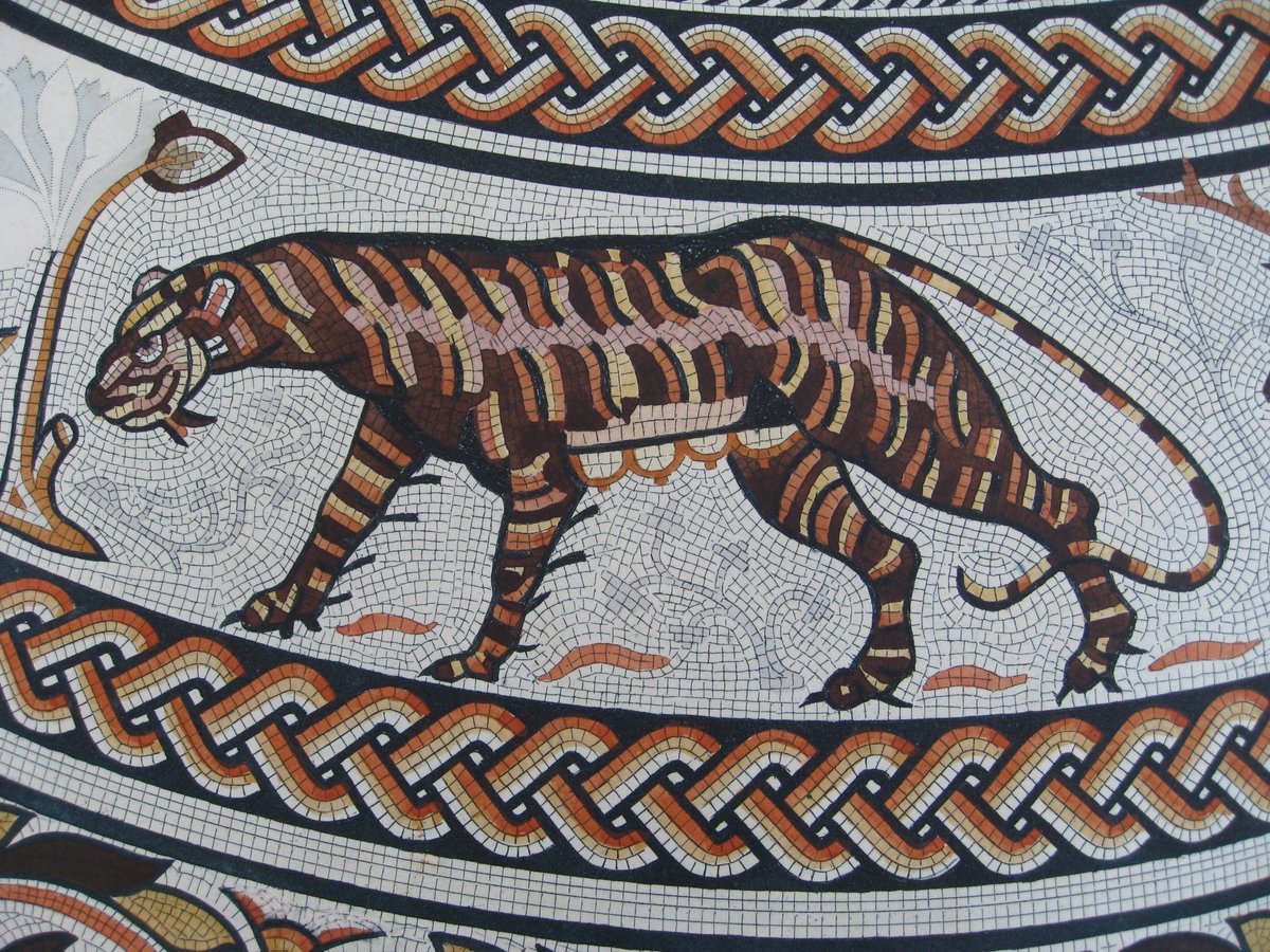 For #InternationalTigerDay, #Caturday and an early entry for #MosaicMonday, the gorgeous tigress from the Woodchester mosaic, slinking around Orpheus with a determined expression and a wonderfully swishy tail.