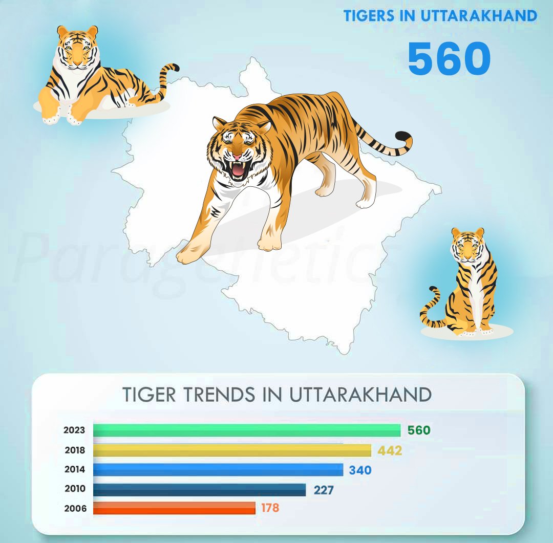 An amazing feat for the forests of Uttarakhand. Uttarakhand ranks third with 560 tigers in the wild. The Tigers are thriving. Lets pledge together to work for the conservation of our forests and its inhabitants.
#ProjectTiger #Tigers #Wildlife #Uttarakhand
