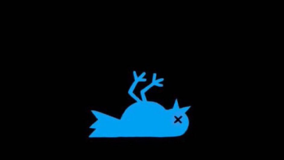 KamiAnimess's tweet photo. @elonmusk Lol https://t.co/9uhEsI1BFb