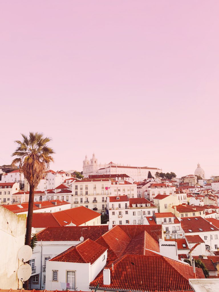 Maya Brenner tweet media