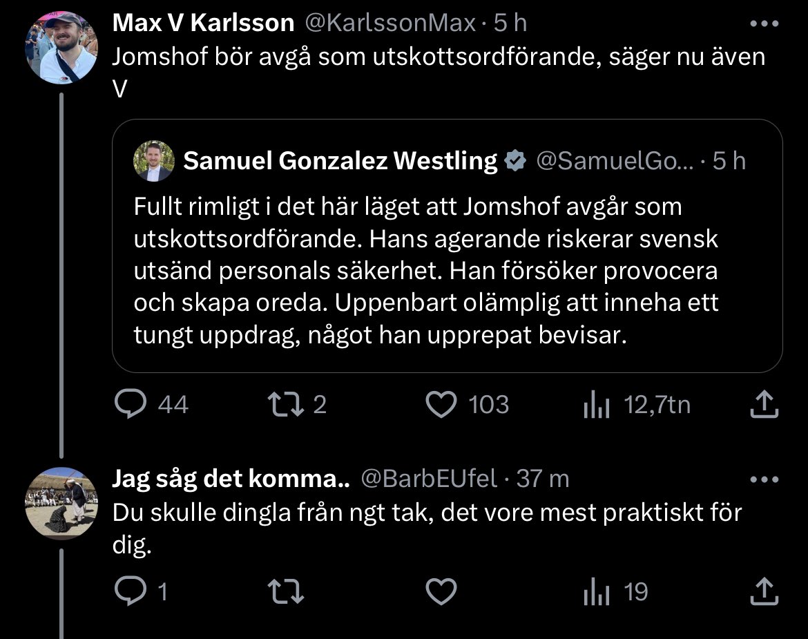 Max V Karlsson tweet media
