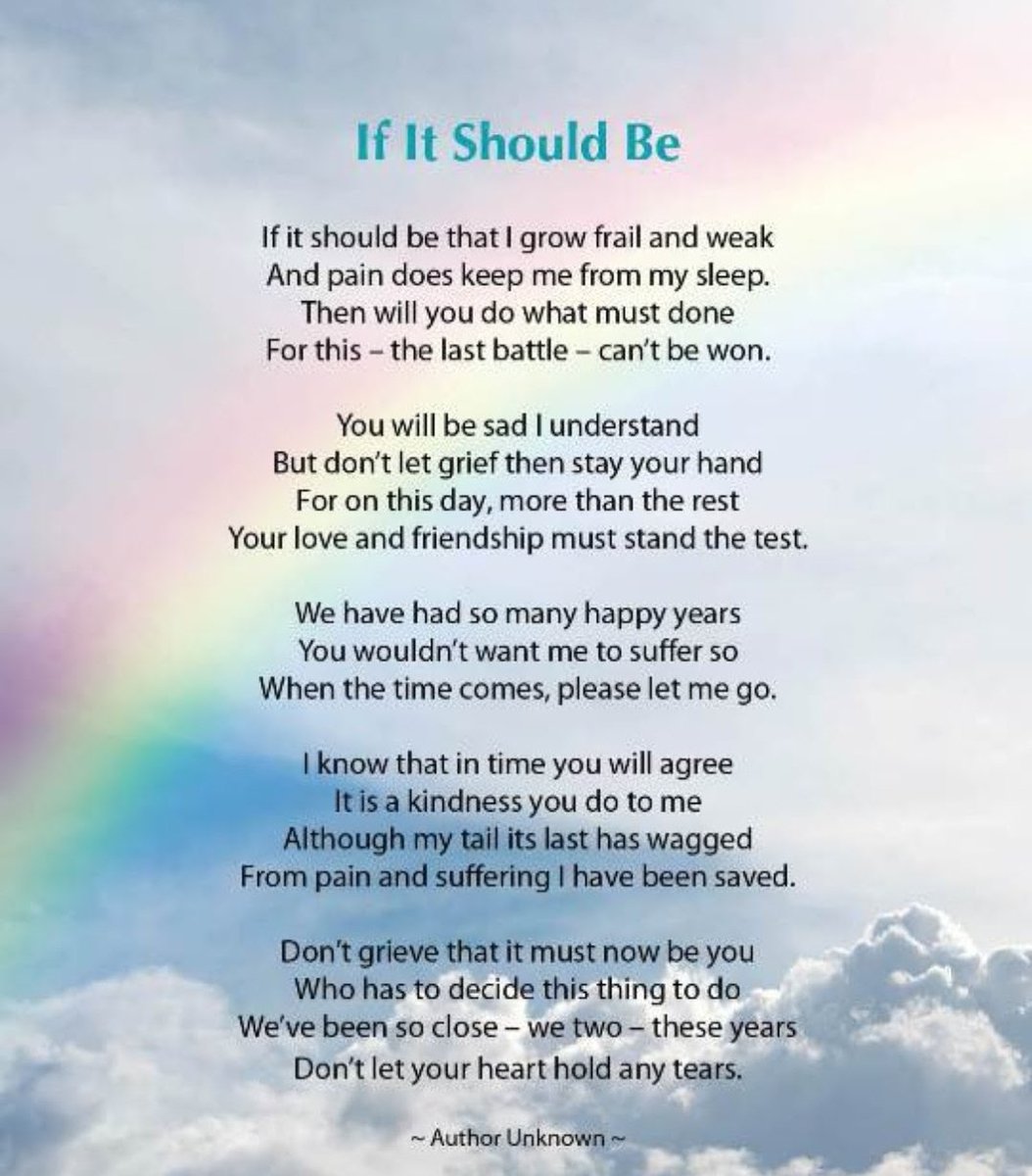 @K9Finn I'm so very sorry to hear this sad news. I can't imagine how Dave is feeling. Finn was such an incredibly brave boy whose legacy will live on with #FinnsLaw and #FinnsLawPart2 
🌈❤️X