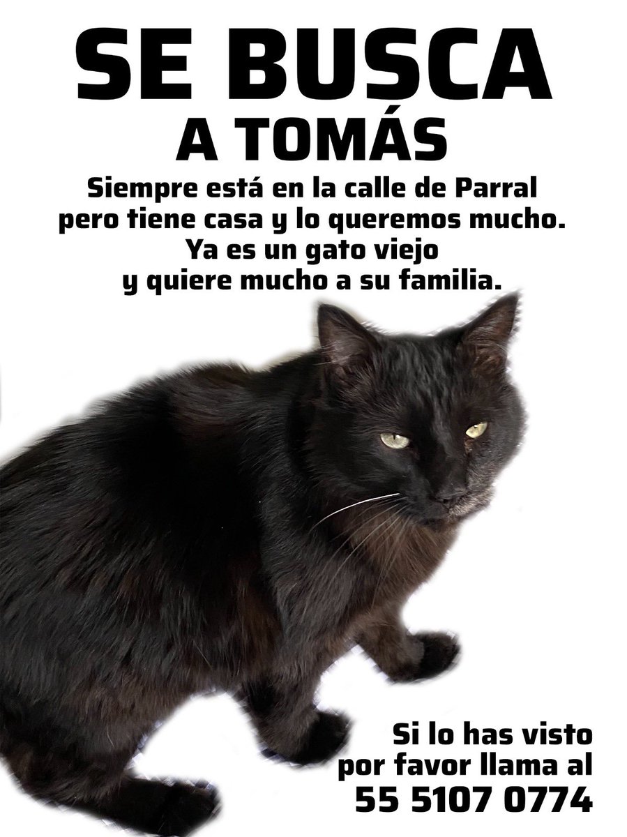 Ayúdanos a encontrar al jefe de las Empanadas. Por favo!