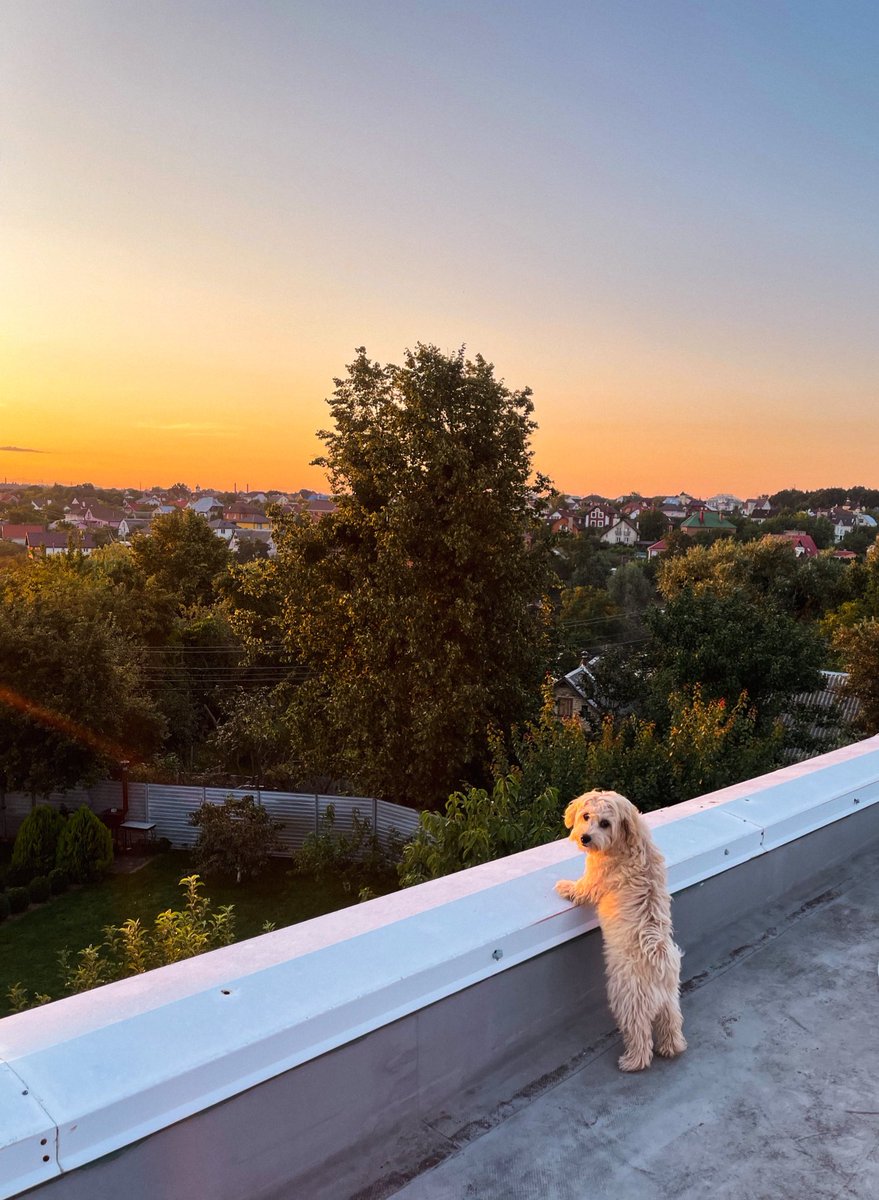 Мені здається чи це фото має мемний потенціал?🤔