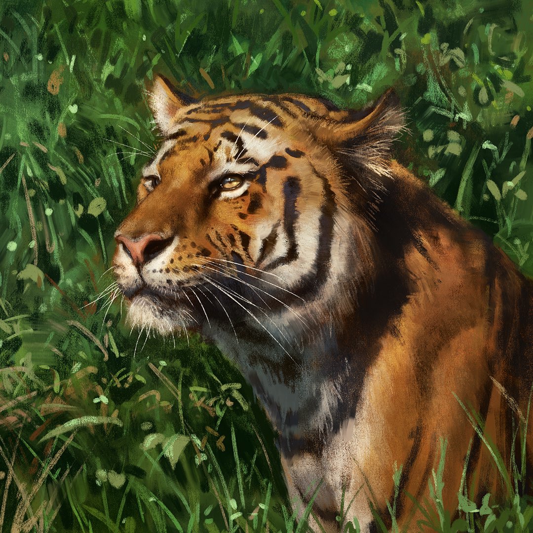 JacksonjokerArt's tweet photo. Today is the international #TigersDay 
Here are some of my paintings of this magnificent animal. https://t.co/rrBvO2PYQy
