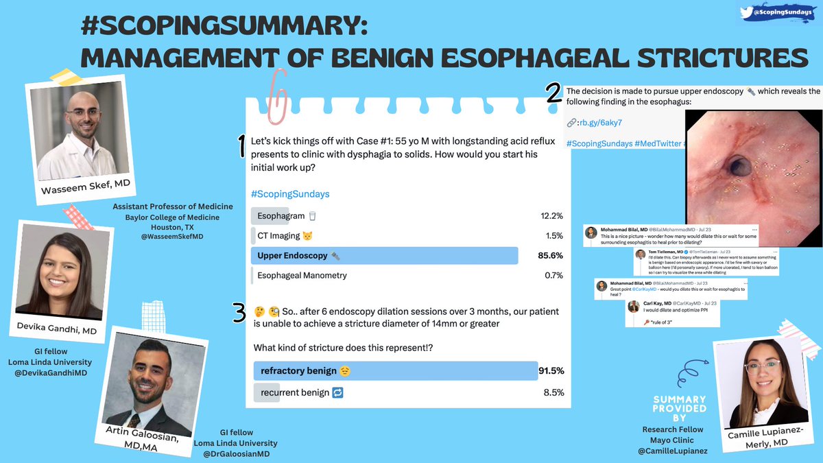#ScopingSundays tweet media