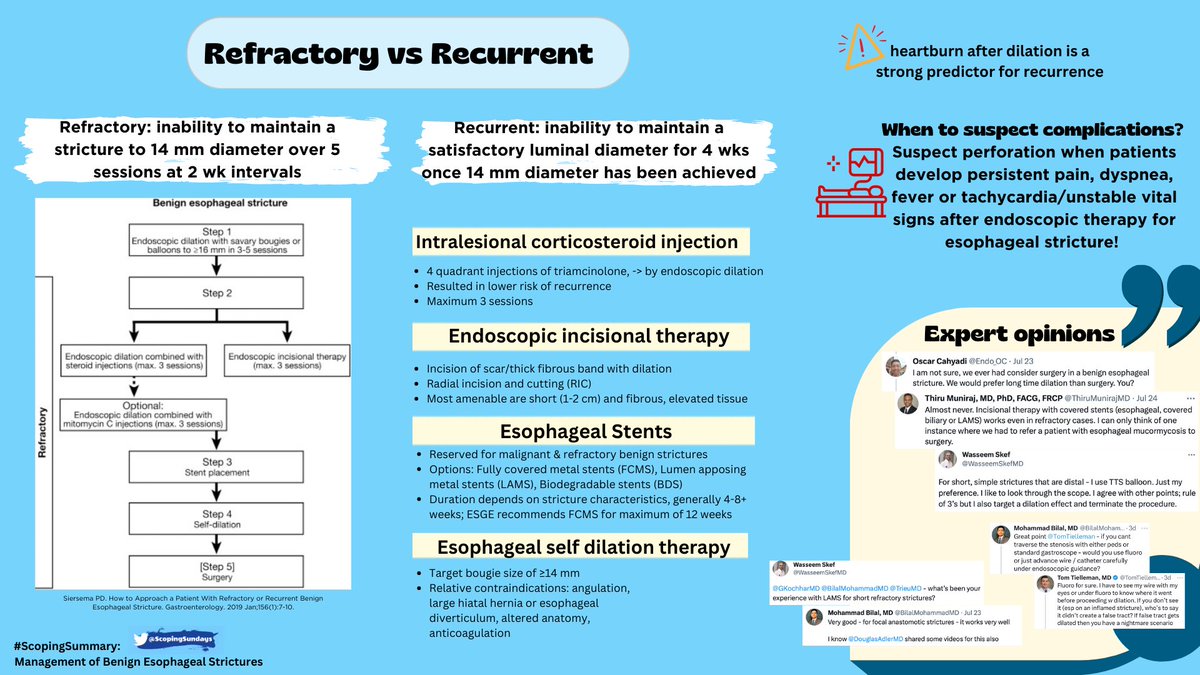 #ScopingSundays tweet media