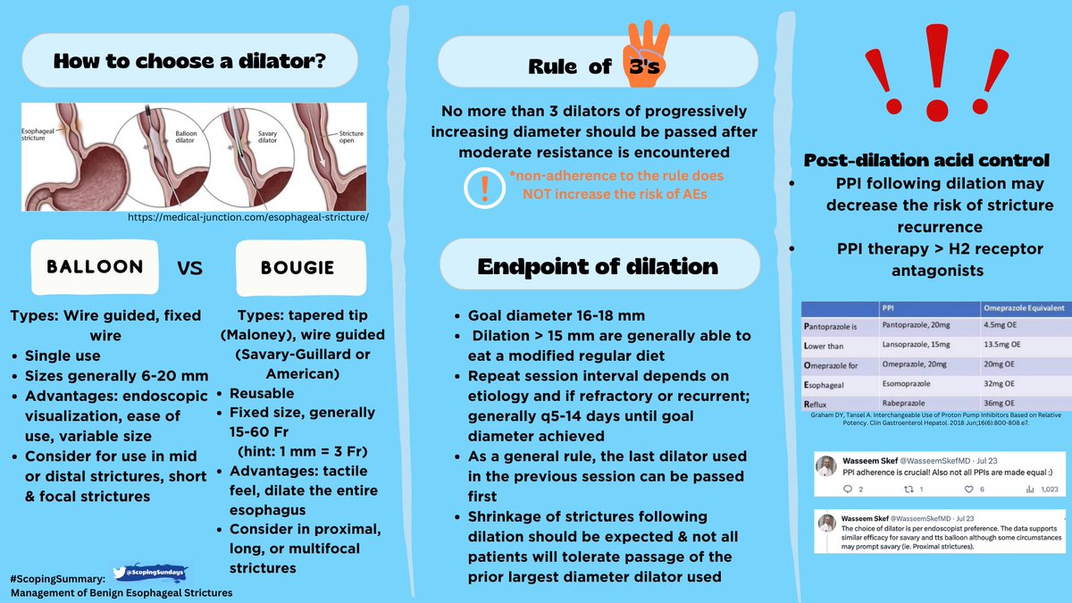 #ScopingSundays tweet media