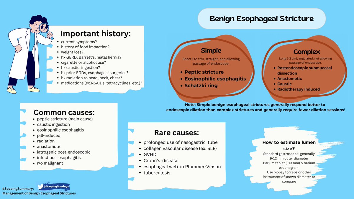 #ScopingSundays tweet media
