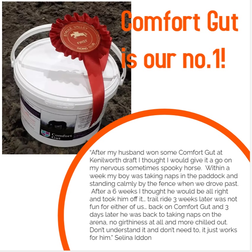 ComfortGutWorldwide (@comfortgutworld) on Twitter photo 