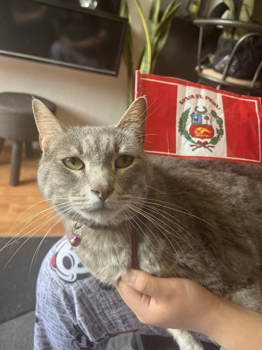 Noctoulouse's tweet photo. @Latina_Noticias @Latina_pe  Feliz día Peru! 🇵🇪🇵🇪🇵🇪 https://t.co/1EPX4Nrvru