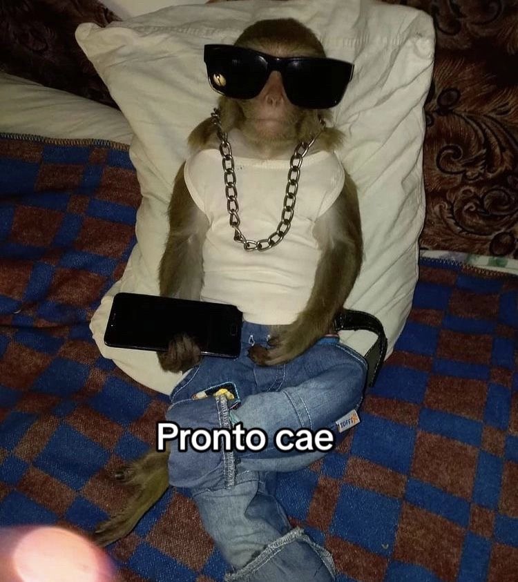 le di like a su historia