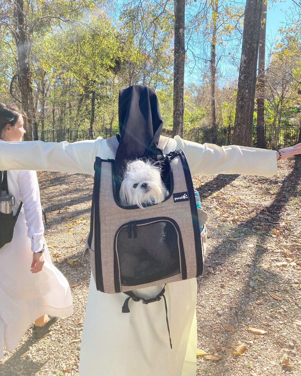 A Religious Sister of the Mercedarian Sisters of the Blessed Sacrament <a href="/MercedarianSrs/">Mercedarian Sisters</a> carrying a dog inside a backpack pet carrier while hiking outdoors. Photo from the Sisters' Facebook page at facebook.com/mercedarians/p….