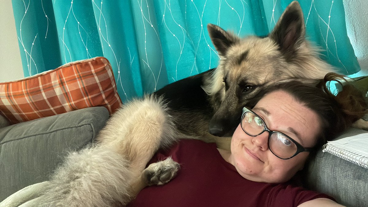 ndhardisty's tweet photo. Watching @imSethDrums on @GCXEvent and my big scary 90-100# German Shepherd does this #bigbaby #smolpupper #isheacat #snuggletime https://t.co/m8koQzJqfQ