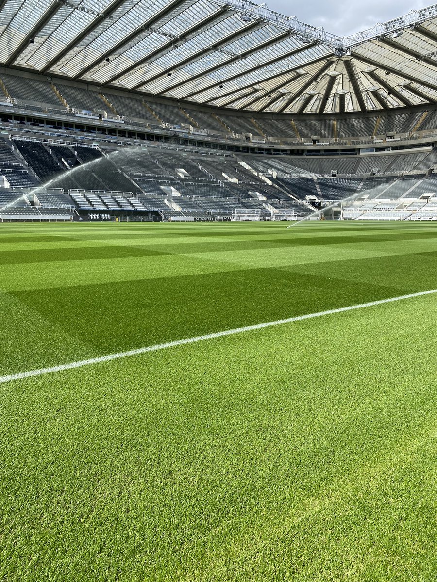 Looking Canny at St James Today 🍃🌤️