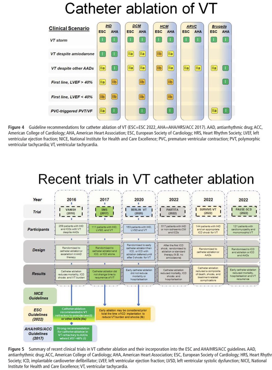 Diego Segura-Rodríguez tweet media