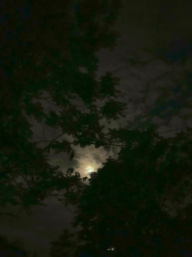 - chand teri roshni ka halka sa ik saya hai 🌙