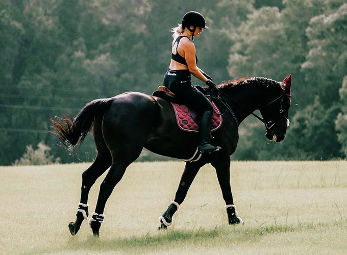 Name a hobby you spend your porn funds on, I'll go first 💁&zwj;♀️ thank you to my sponsors 💅 https://t.c<a href="/tag/tts"class="tags"><span>#tts</span></a>