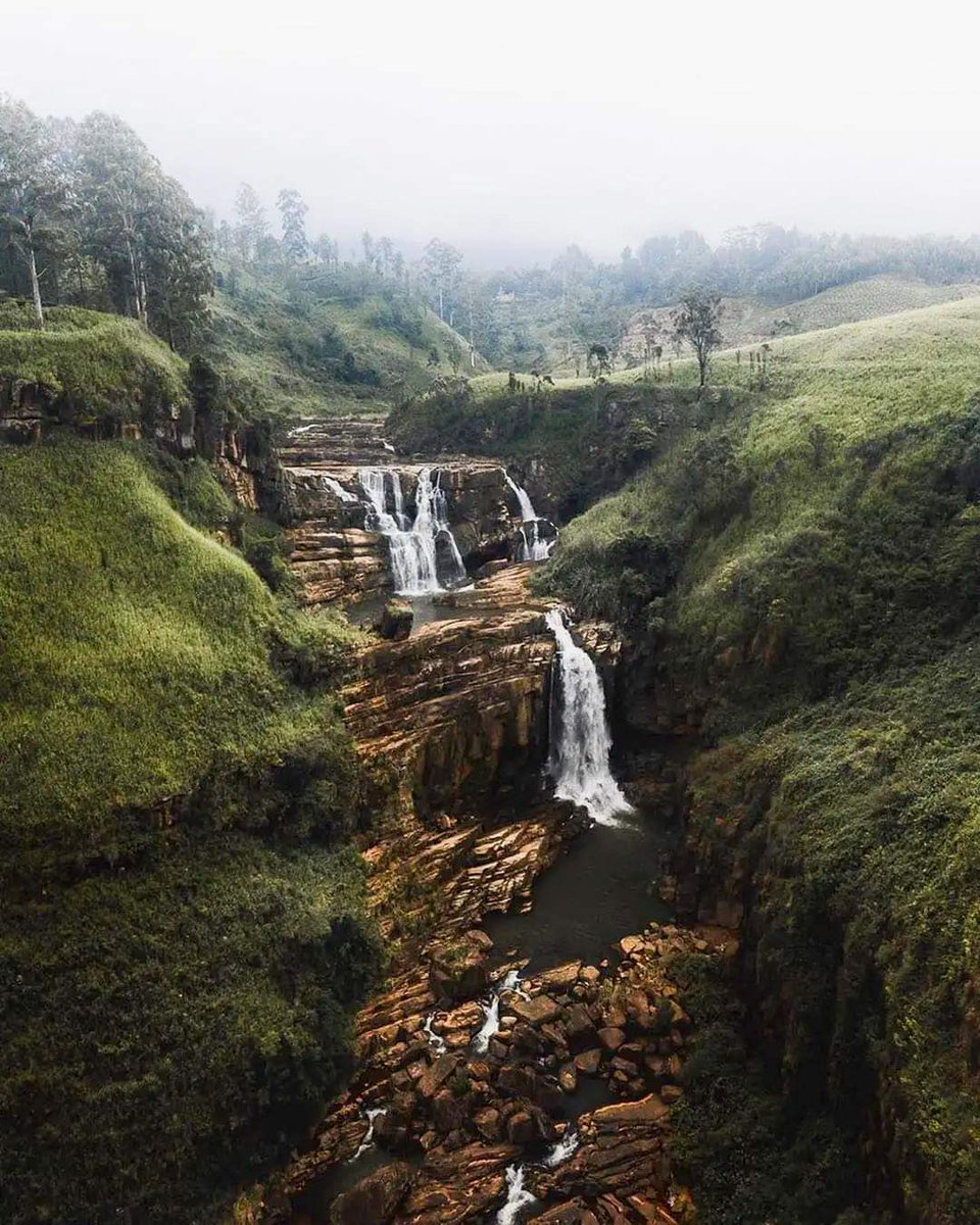 Sri Lanka ❤️ #VisitSriLanka #traveler #traveling #Traveller #traveling #Photographie #Ukraine #PhotoChallenge2023July #vacation #Canada #japanese #England #Australian #wildlifephotography #wildlifephotography #love #wildflowers #animal #Africa #Kenya #Jaguars #Tigres  #ParTYtime