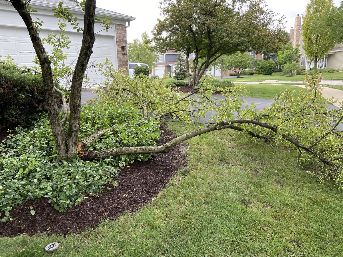 8CountAudio-IL Dance tweet media