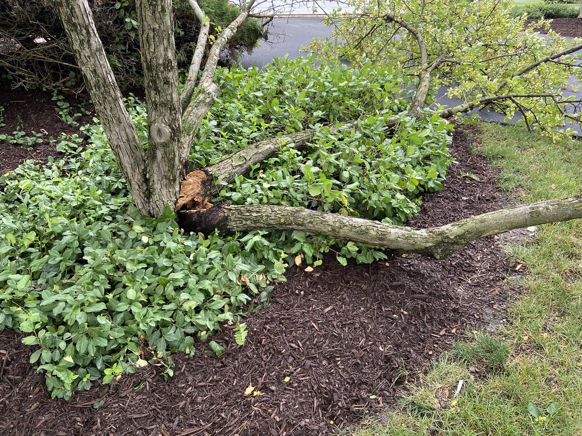 8CountAudio-IL Dance tweet media