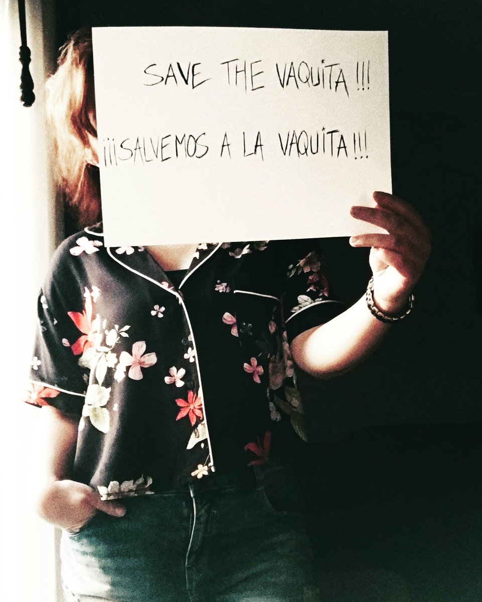 #BanFishing: #SaveTheVaquita #SalvemosALaVaquita!!!! 🎣🐋

#GoVegan #SaveOurSeas #SOSSaturdays #Mexico