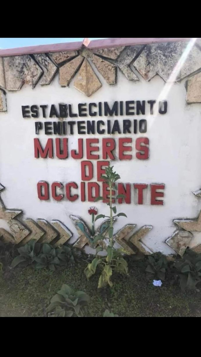 LeocubaLeonardo's tweet photo. Así termino en el establecimiento penitenciario "Mujer del Occidente" en Cuba Comunista, su único delito, pedir libertad, no era opositora ni periodista solo una simple cubana. Ya meses de su asesinato. Socialismo.  @LeocubaLeonardo @AmericanoMedia @MiguelPoloP @lourdesubieta https://t.co/JRyE3TN6ZY