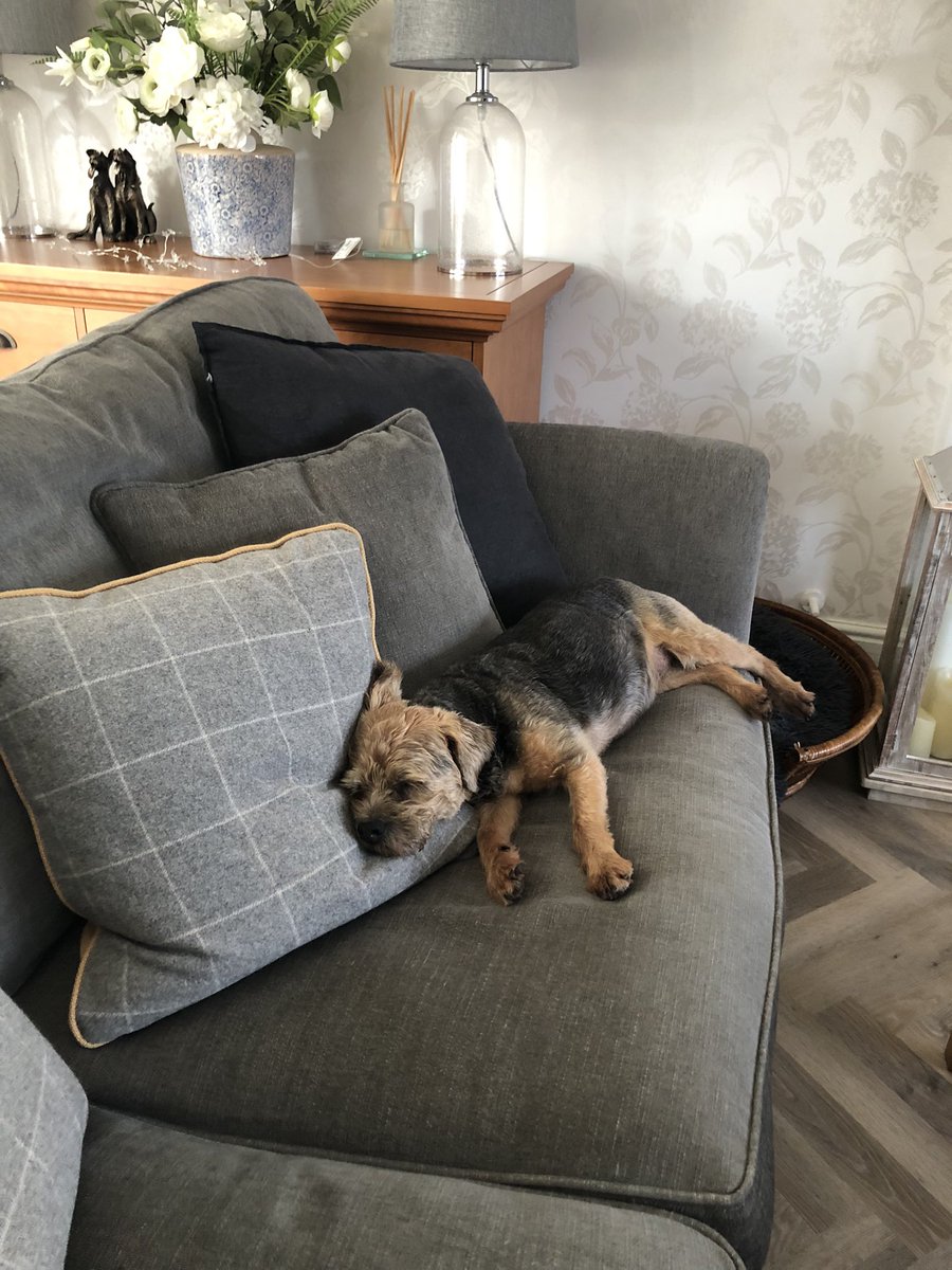 #shattered. 😴💤