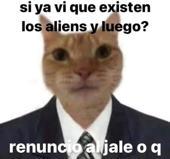 ElJeringasLoko's tweet photo. o q https://t.co/r99KSvP2OM