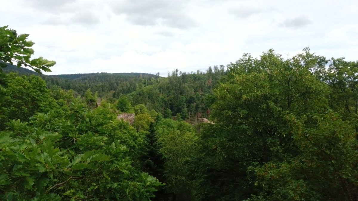 Bipeur_07's tweet photo. En direct de l'épisode 183 #geocaching https://t.co/YhlpwHA6ha