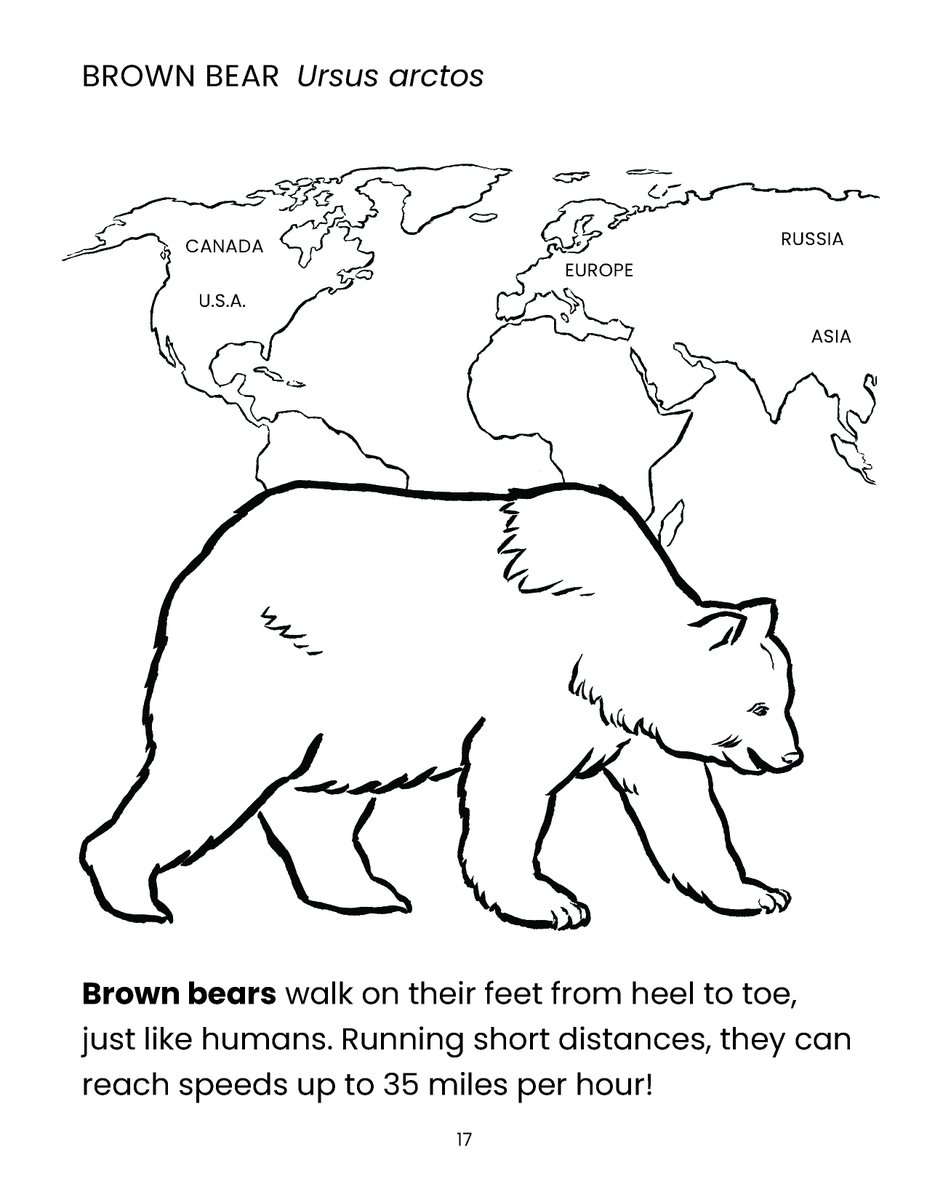 BearTrust's tweet photo. Bears in the Wild World: Coloring Book is available for free to download in a single PDF: https://t.co/IYd0PXI5kX
#coloringbook #coloringpage #coloringpagesforeveryone #coloringpagesforkids #bearbiology #coloringpages #freecoloringbook #freecoloringsheet #freecoloringpages https://t.co/XG9va7YZSL