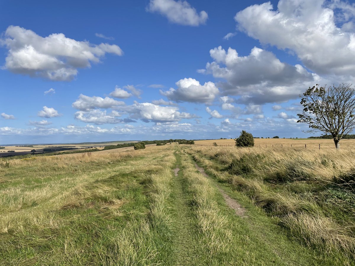 andrewwbowie's tweet photo. A great evening for a walk on the Ridgeway path https://t.co/56SeKbjnX2