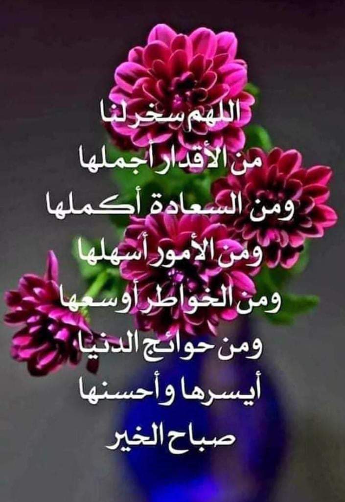 houria_halime's tweet photo. https://t.co/jrJzg9kxez