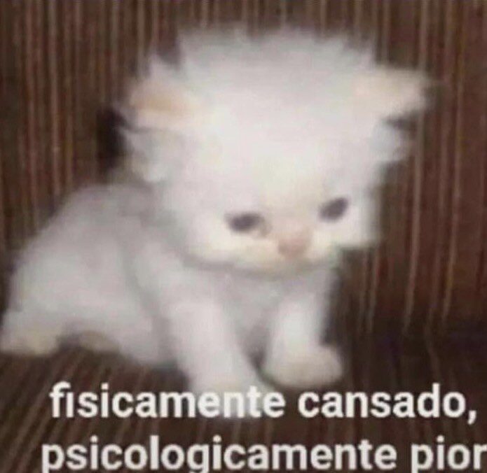 MirMierda's tweet photo. El autocuidado durante la residencia es muy importante, por eso, he decidido que era buena idea trabajar 5 fin de semanas seguidos. 
Hoy de guardia en el 3º de los 5 y luzco un poco así: https://t.co/hyupyJN3aA