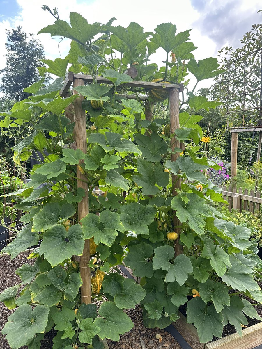 grapevineasks's tweet photo. Gourd ns Alive Arch @brianblessed https://t.co/bCiVKA8ynf