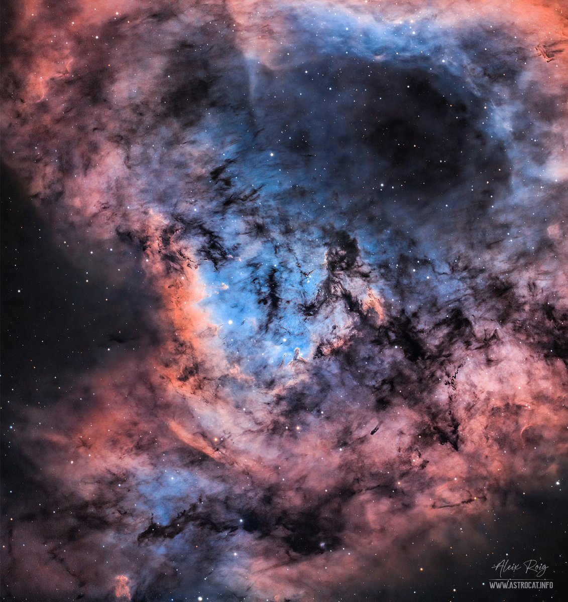 astrocatinfo's tweet image. NGC 7822 nebula in Cepheus