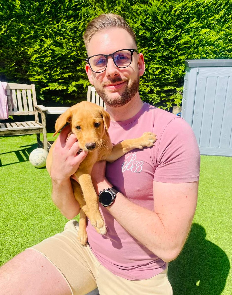 Clarky_gtr's tweet photo. I've only gone and got a puppy 🐶 ♥ https://t.co/Iz4gNeX1SB