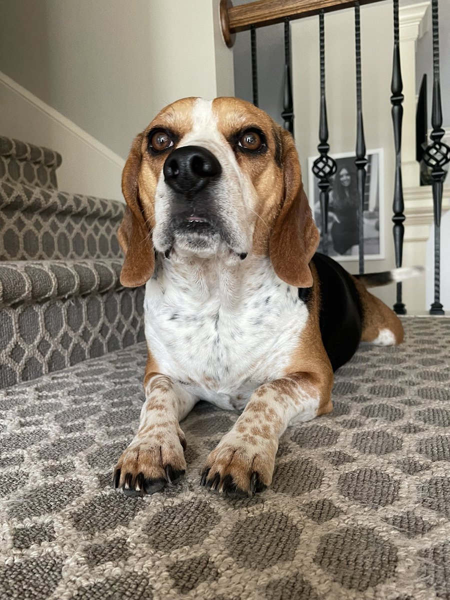 Corey Beagz tweet media