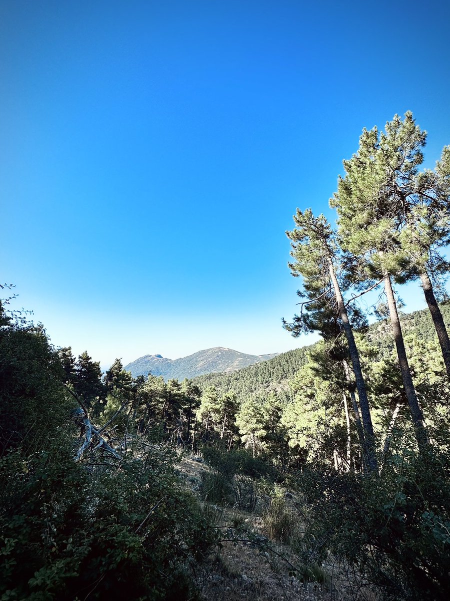 AlbBarrantes's tweet photo. Subida a Abantos con su correspondiente bajada ⛰️

#Trail4Fun 
 #kmsXalimentos https://t.co/Nkj3CN1LwE
